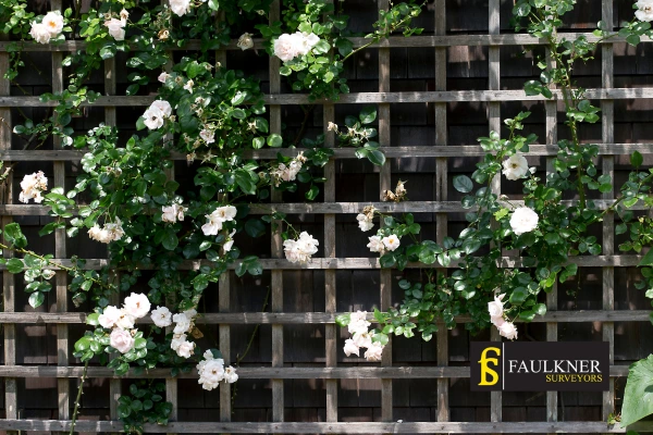Can I put trellis on my Neighbours garage wall? 2 Do you want to adapt your neighbours garage door and add a trellis Hitchin? Talk to Faulkner Surveyor Hitchin